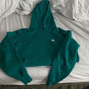 Champion mens hoodie